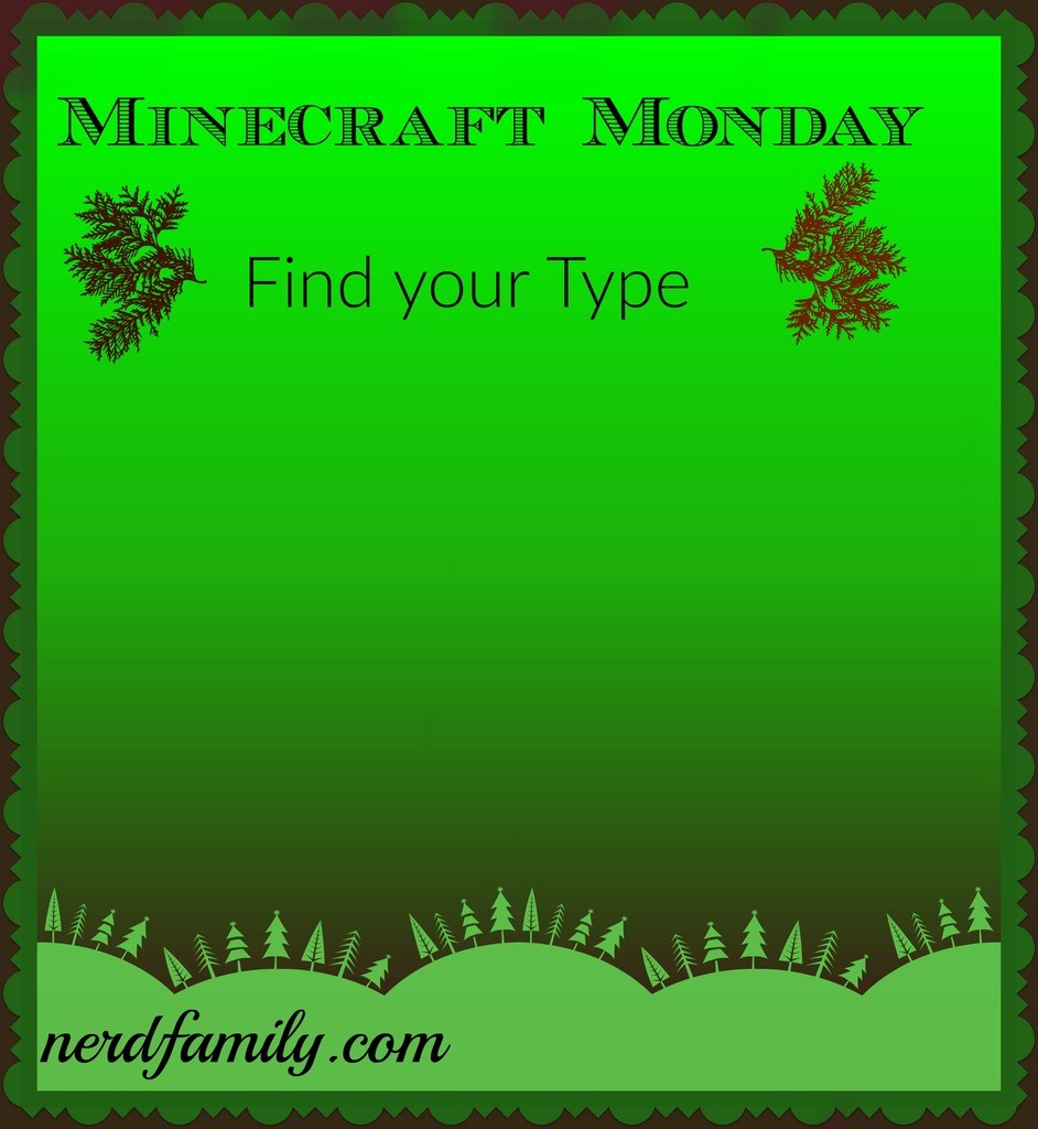 minecraft_find_your_type